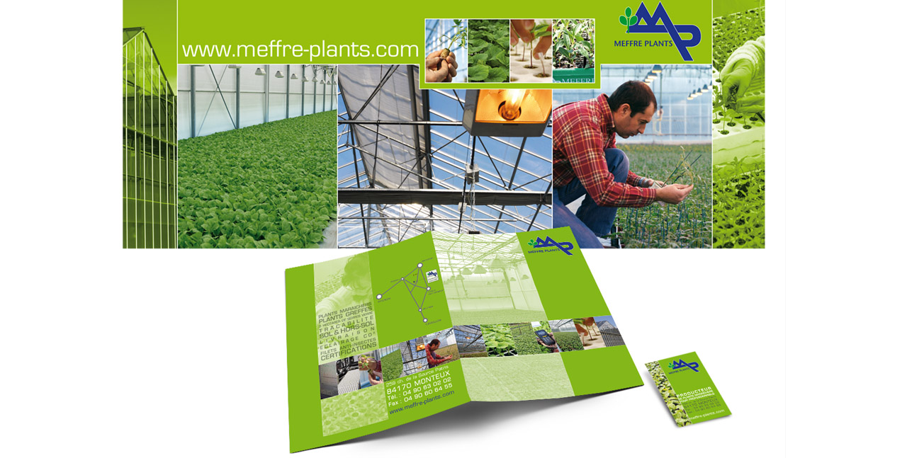 MEFFRE PLANTS